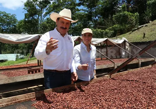 Reconocen modelo de producción de cacao