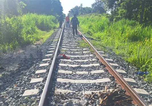 Tren destroza a centroamericano