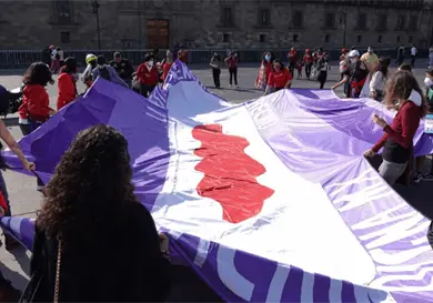Menstruación digna ya es un derecho constitucional: ONG