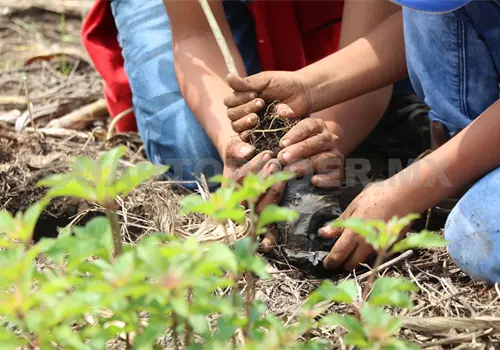 Berriozábal sembrará 35 mil árboles en inicio de lluvias