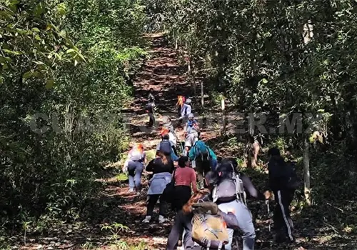 Prohíben acceso al Árbol Hueco en Zinacantán