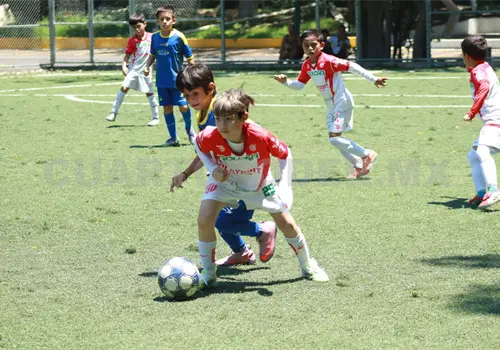 Cefor Campestre avanza a semifinales