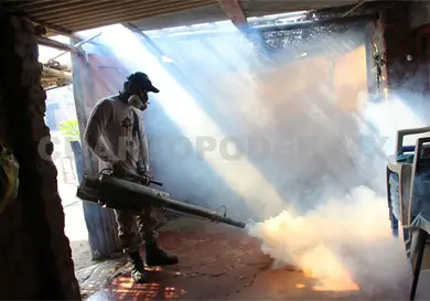 Estudian dos muertes por probable dengue