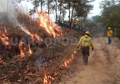 Las pequeñas quemas, evitan grandes incendios