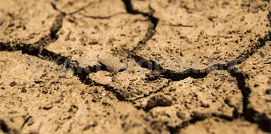 Presenta 59 % del país desertificación