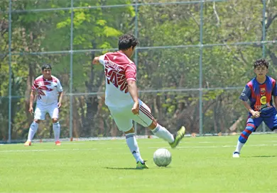 Tras fiebre tricolor, vuelve a rodar el balón