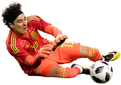 Ochoa pone fin a su carrera