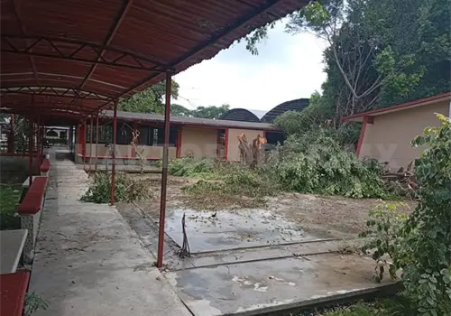 Derriban árboles en prepa de Huixtla