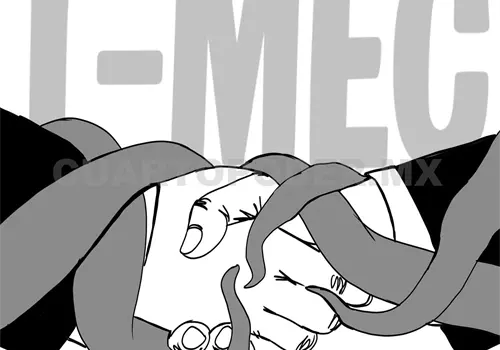 T-MEC a revisión