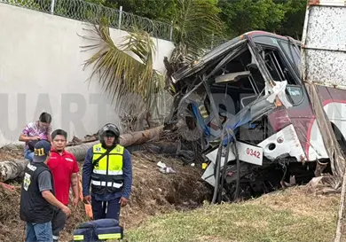 Autobús sale del camino y embiste a varias palmeras