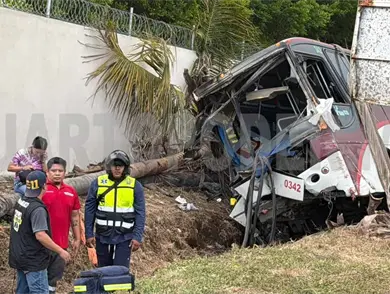 Autobús sale del camino y embiste a varias palmeras