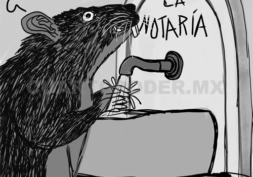Notarios bajo la lupa digital