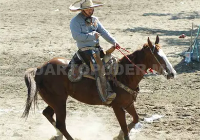 Torneo Santo Domingo reúne a los mejores