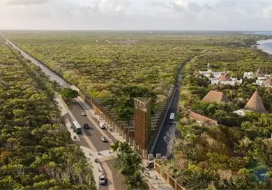 Más recursos para el Tren Maya