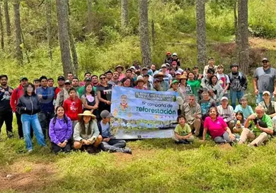Reinician campaña de reforestación en La Milpoleta