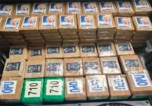 Capturan a hombre con 217 kilogramos de droga