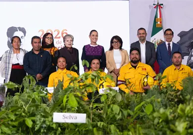 Presentan la Jornada Nacional de Reforestación