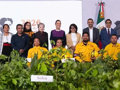 Presentan la Jornada Nacional de Reforestación