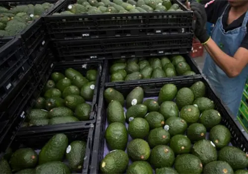 Por amenaza EUA suspende actividades en Michoacán