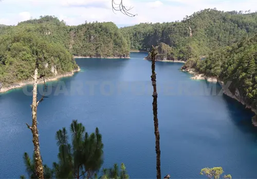 Turismo de naturaleza se está moviendo lento