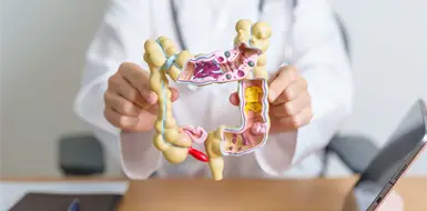 Cuida tu intestino y mejora tu calidad de vida