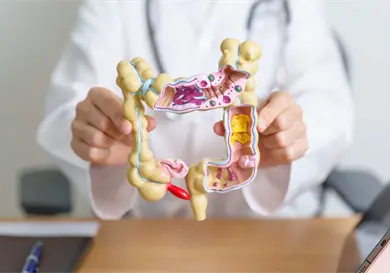 Cuida tu intestino y mejora tu calidad de vida Cuida tu intestino y mejora tu calidad de vida
