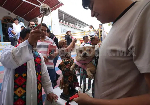 Fieles acuden a la iglesia junto con sus mascotas Fieles acuden a la iglesia junto con sus mascotas