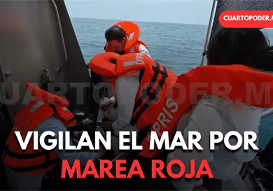 Analizan aguas del mar por posible marea roja Analizan aguas del mar por posible marea roja