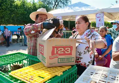 Llaman a retomar la producción de traspatio Llaman a retomar la producción de traspatio