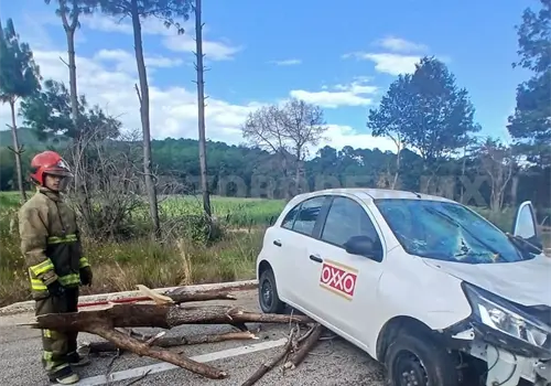 Árbol cae sobre automóvil en la carretera a Teopisca