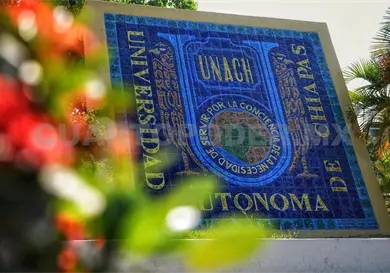 Alcanzarán cifra histórica de académicos en el SNII Alcanzarán cifra histórica de académicos en el SNII