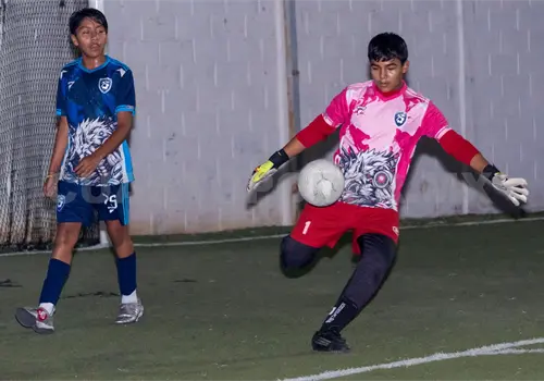 Fénix y Dinoestudiantes abren su camino
