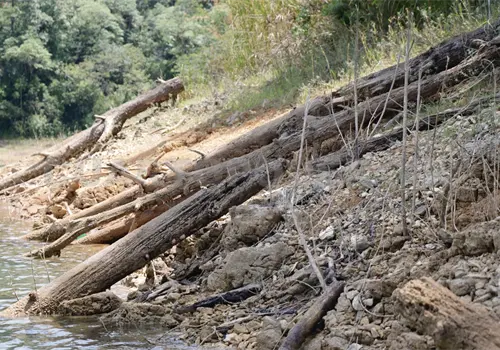 Urgen acciones en Las Flores por alta erosión
