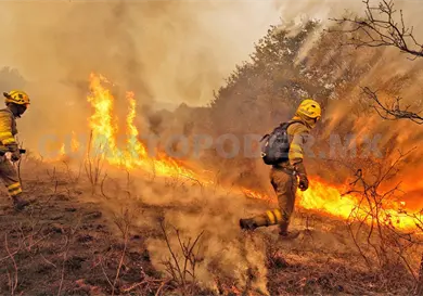 Con IA buscan hallar riesgo de incendios Con IA buscan hallar riesgo de incendios