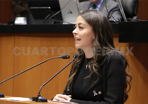 El Senado respalda a la presidenta: Sasil de León