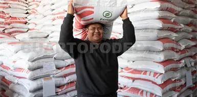 Chiapas, clave en el reparto de fertilizantes Chiapas, clave en el reparto de fertilizantes