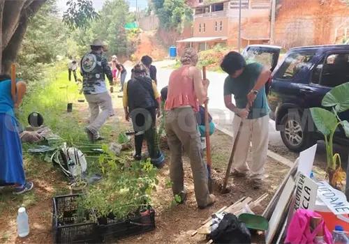 Cuxtitali realiza jornada de reforestación