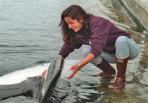Netflix contará la historia de Keiko