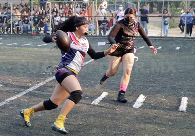 La ACHFA estructura selecciones estatales