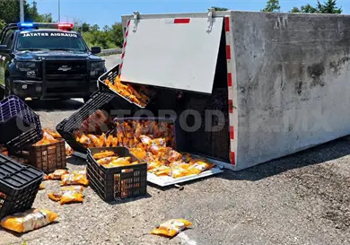 Camión de tostadas vuelca en la carretera Camión de tostadas vuelca en la carretera