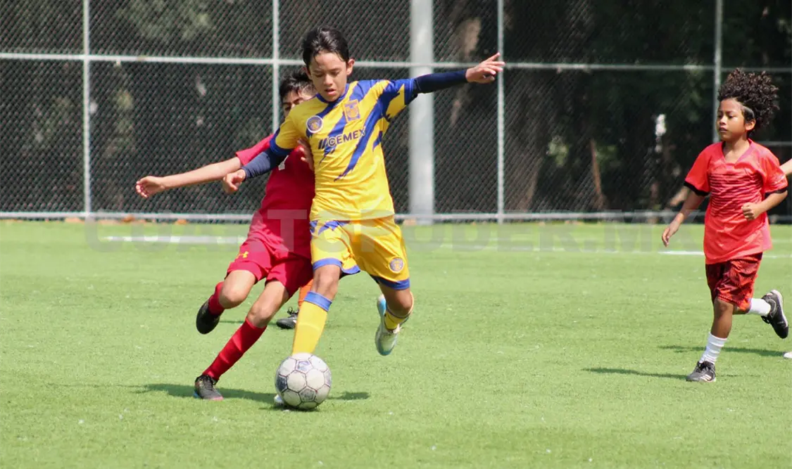 Foto: Daniel Oropeza/CP