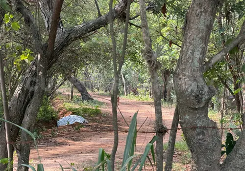 Lo encuentran sin vida en camino de terracería