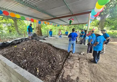 Productores agrícolas impulsan biofábricas