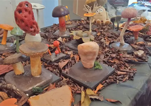 Reino moní invade al Museo de la Ciudad