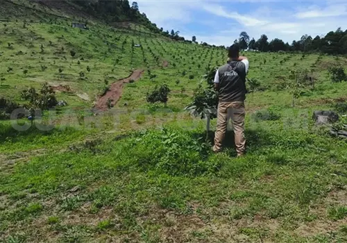 Clausuran dos predios por daños a áreas naturales
