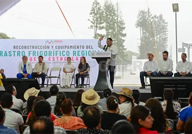 Refuerzan actividad ganadera con rastro frigorífico