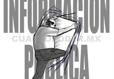 El derecho al acceso a la información… El derecho al acceso a la información…