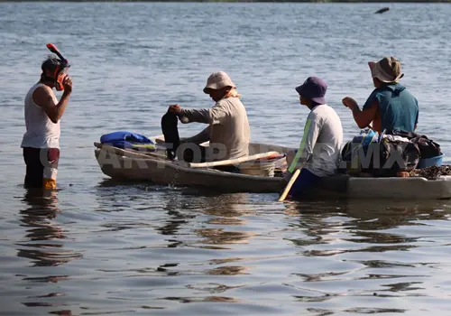 Pesca artesanal afectada por varios factores