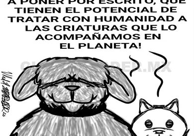 Ley para la protección de los animales Ley para la protección de los animales