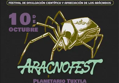 Aracnofest: todo sobre los arácnidos